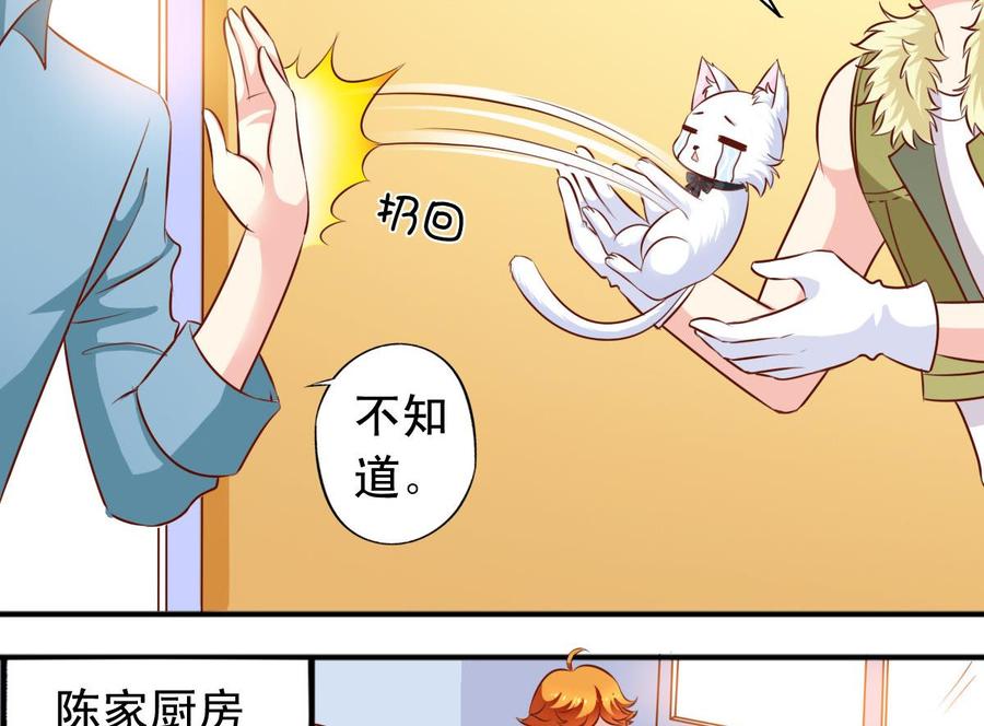 番外37 难伺候的猫-第182话