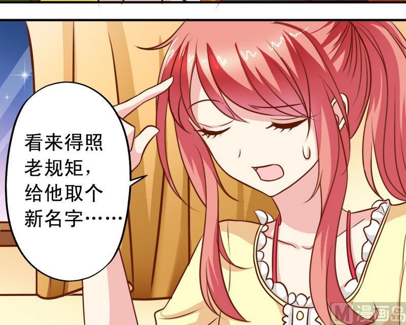 第30话 汪星人-第30话