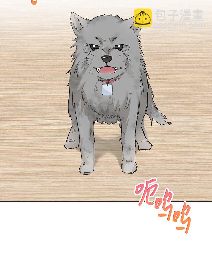 24 小灰灰出没(1/2)-第24话