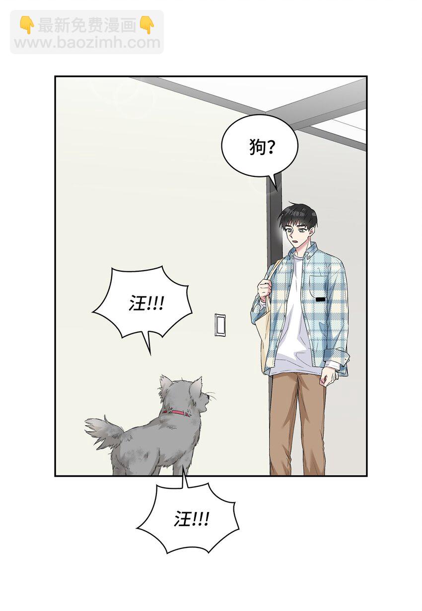 24 小灰灰出没(1/2)-第24话