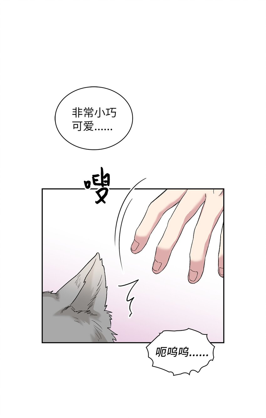 24 小灰灰出没(1/2)-第24话