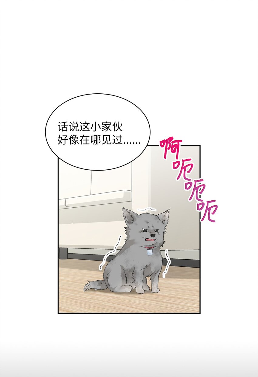 24 小灰灰出没(1/2)-第24话