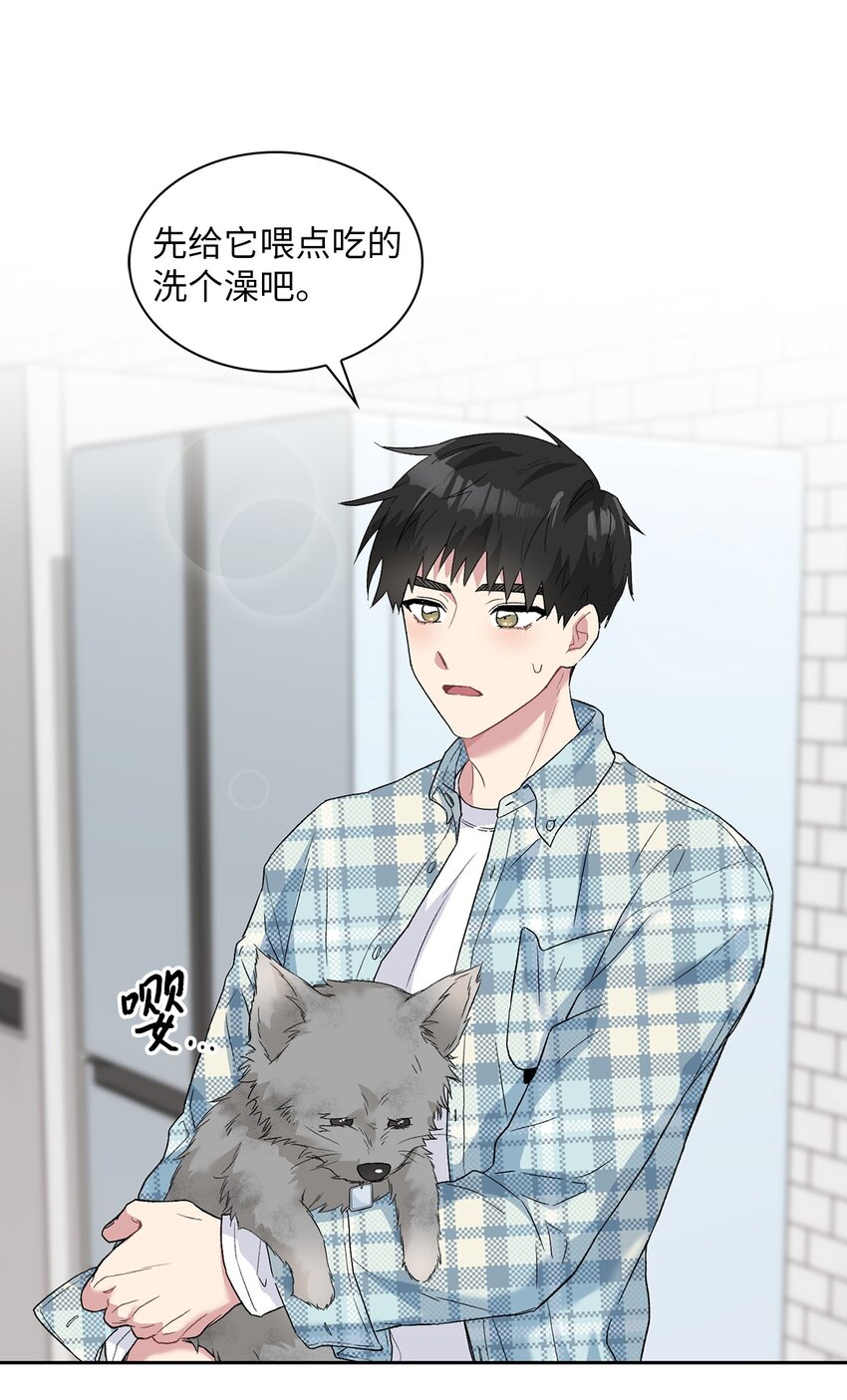 24 小灰灰出没(1/2)-第24话