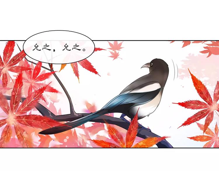 第26话 前途未卜(1/2)-第28话