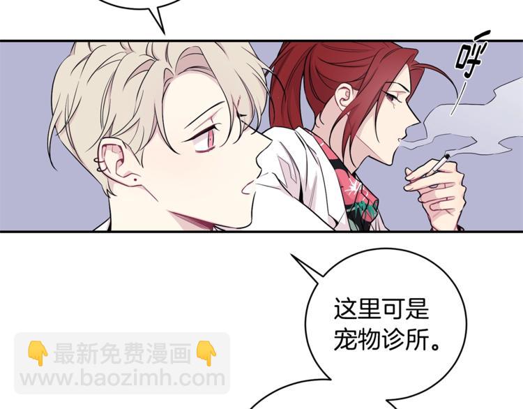 月光嚎叫 - 第1話 受傷的男人(2/3) - 2