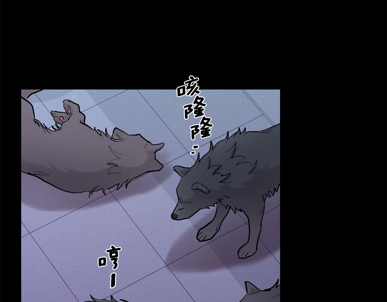 月光嚎叫 - 第43話 真正的目標(2/6) - 6