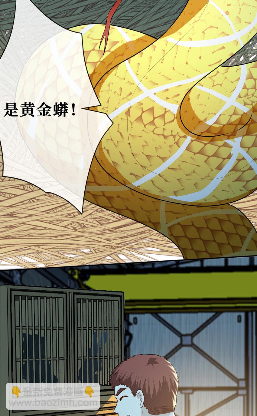 62 救出狗子-第64话