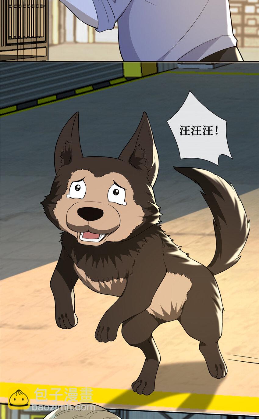 62 救出狗子-第64话