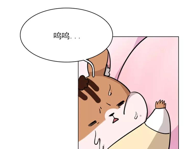 第4话 缘花-第4话