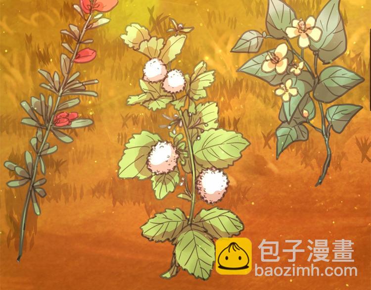 月亮魔女與太陽陛下 - 第5話 千萬不能死啊!(2/3) - 5