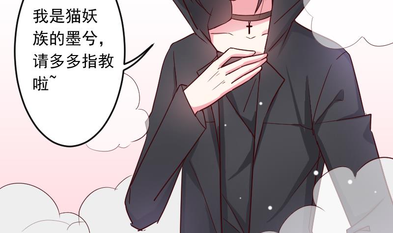 第24话 小黑来了-第24话