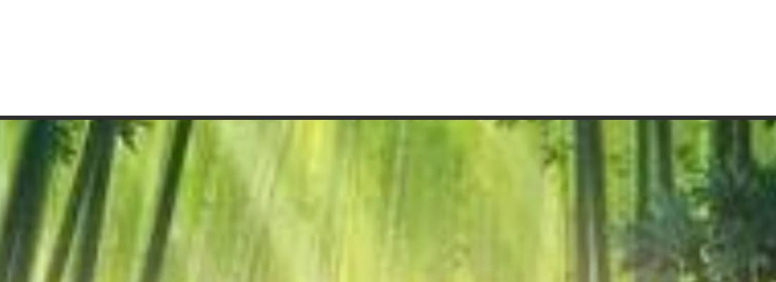 求姻缘(1/5)-第44话