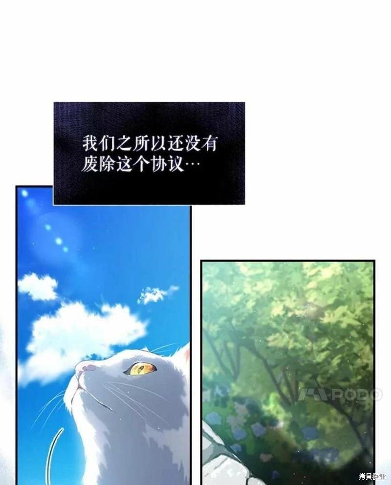 遇光重生 - 第51話(1/2) - 6