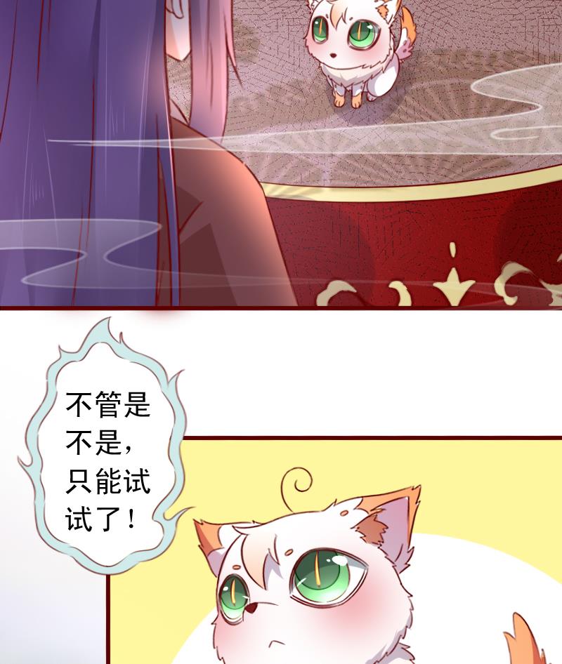 第72话 未婚妻？-第72话