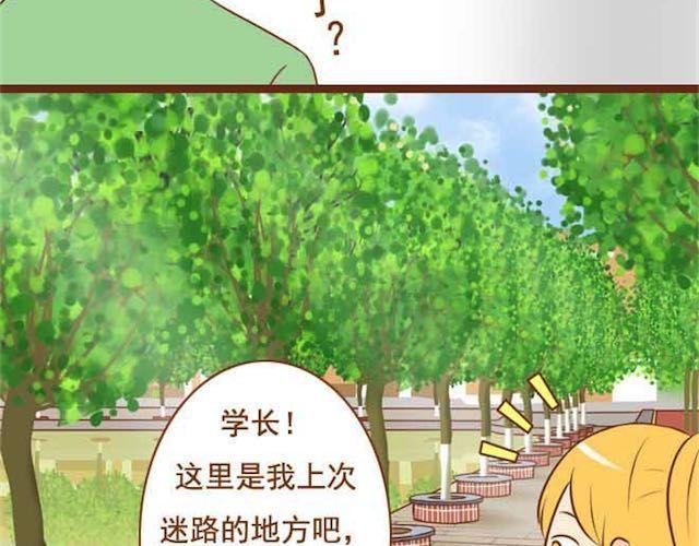 第14话 学长摸我的头了-第14话