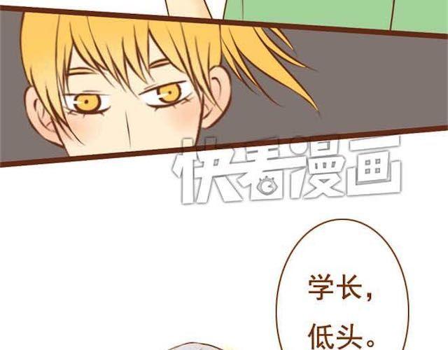 第14话 学长摸我的头了-第14话