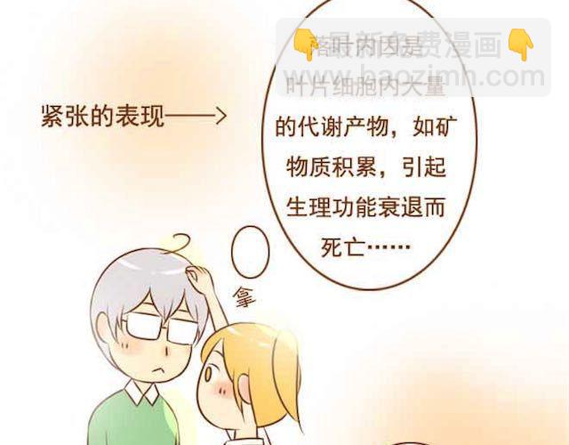 第14话 学长摸我的头了-第14话