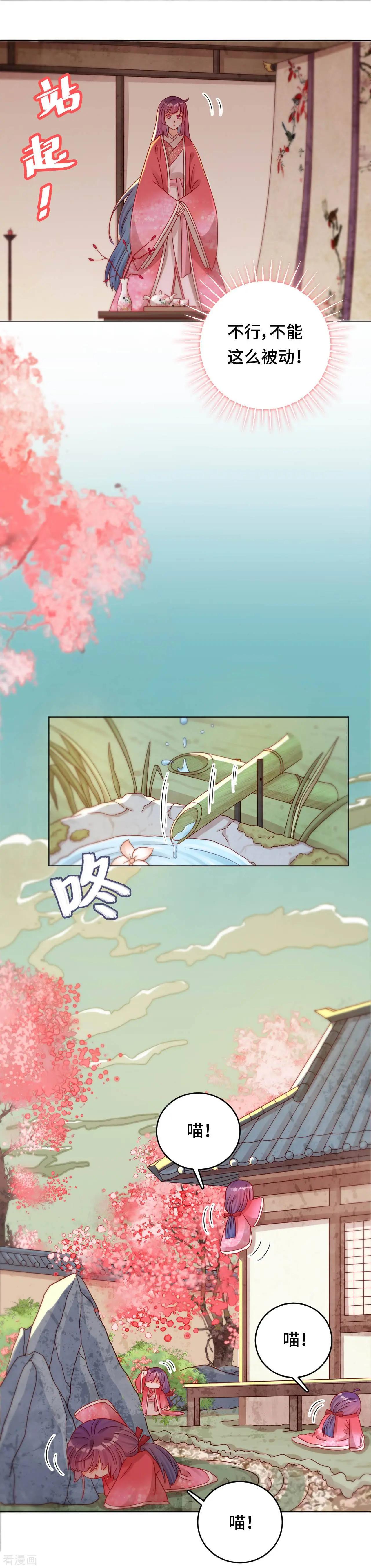 第39话 寻猫记-第38话