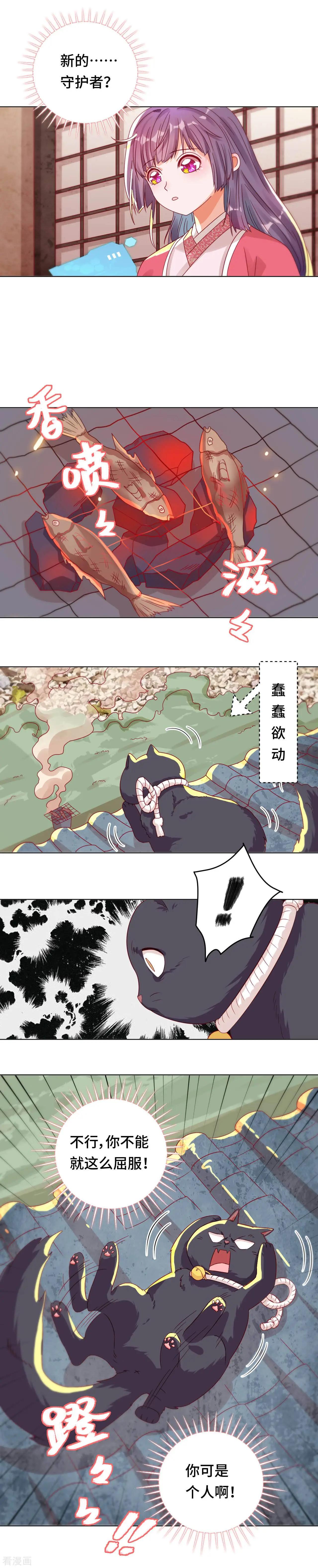 第39话 寻猫记-第38话