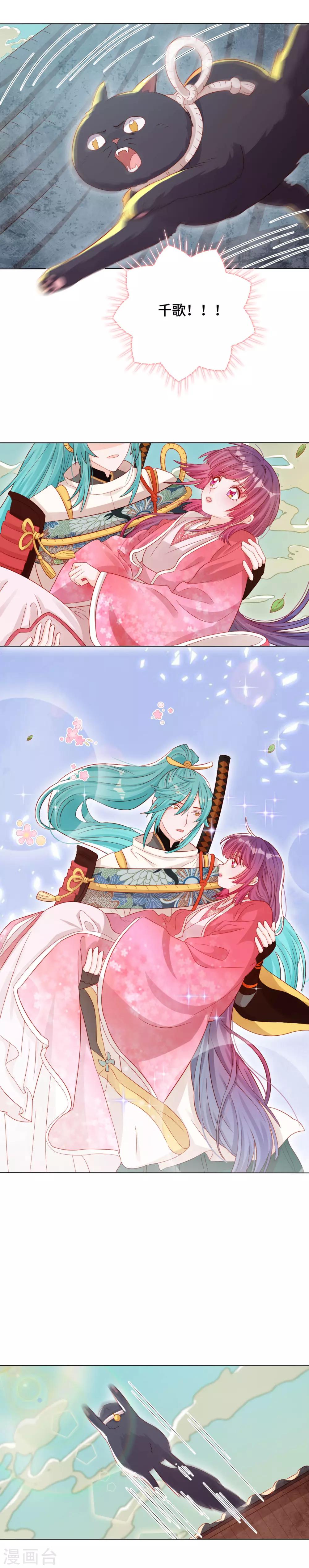 第39话 寻猫记-第40话