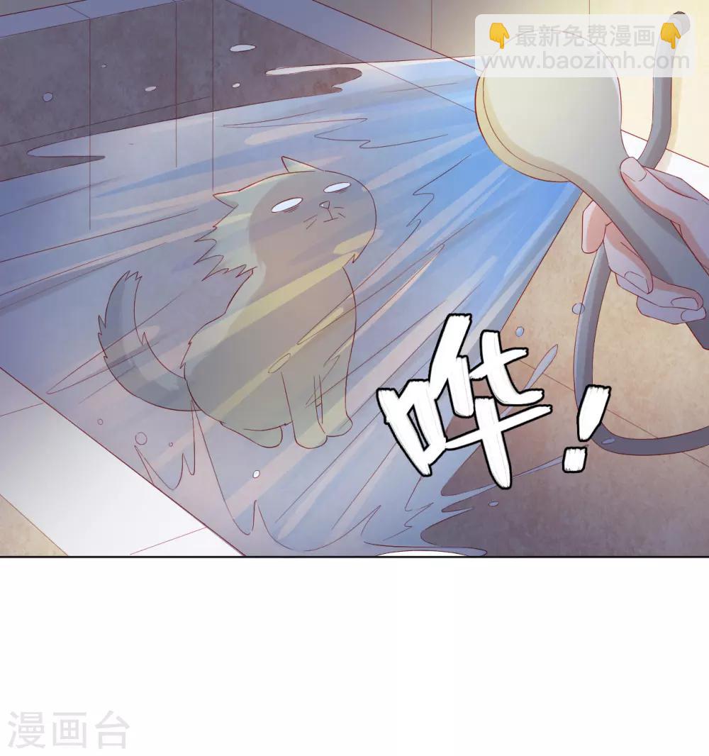 番外2 猫生赢家-第74话