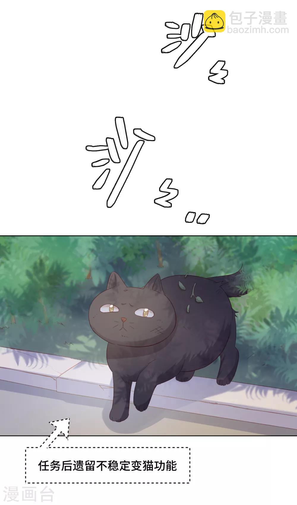 番外2 猫生赢家-第74话