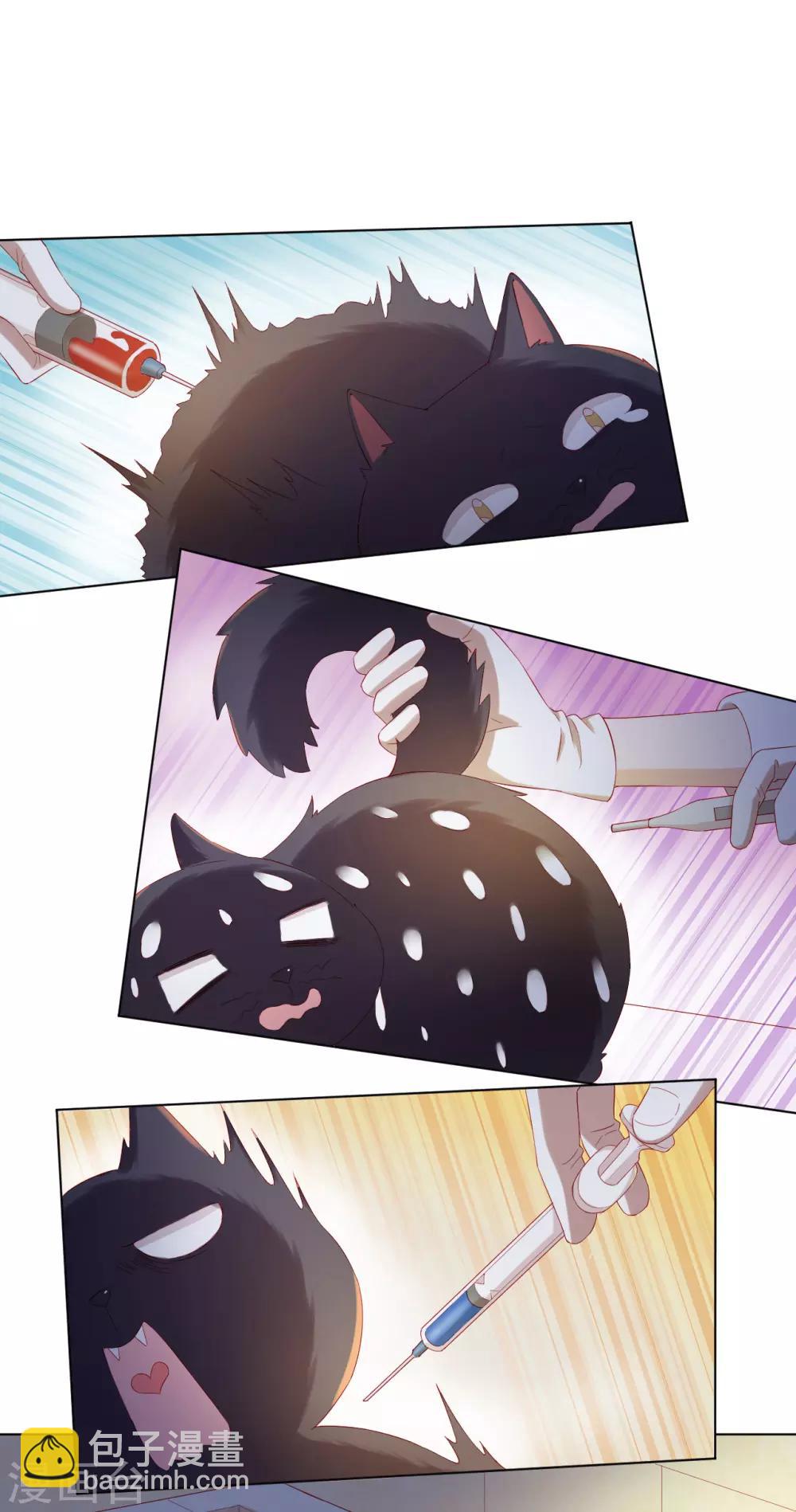 番外2 猫生赢家-第74话