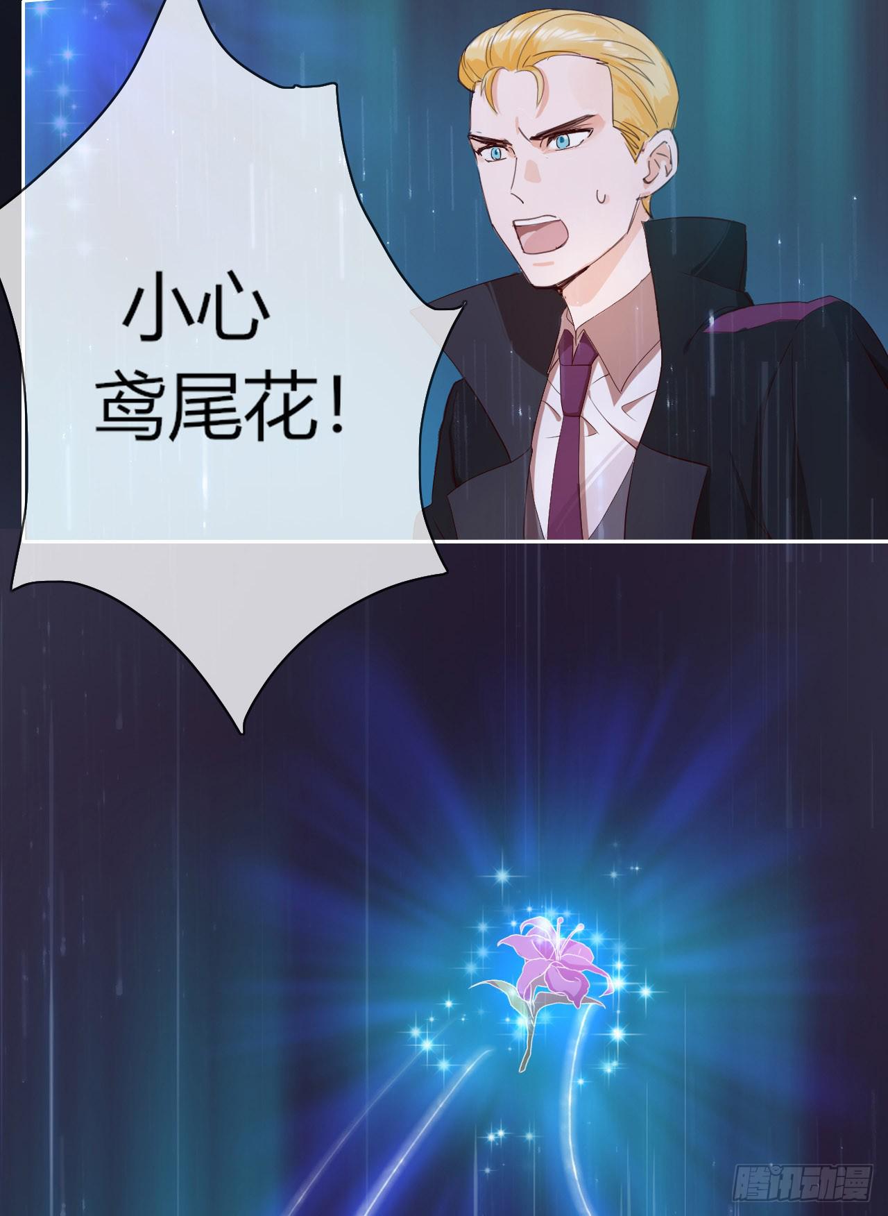 第1话 是你回来了吗！(1/2)-第2话