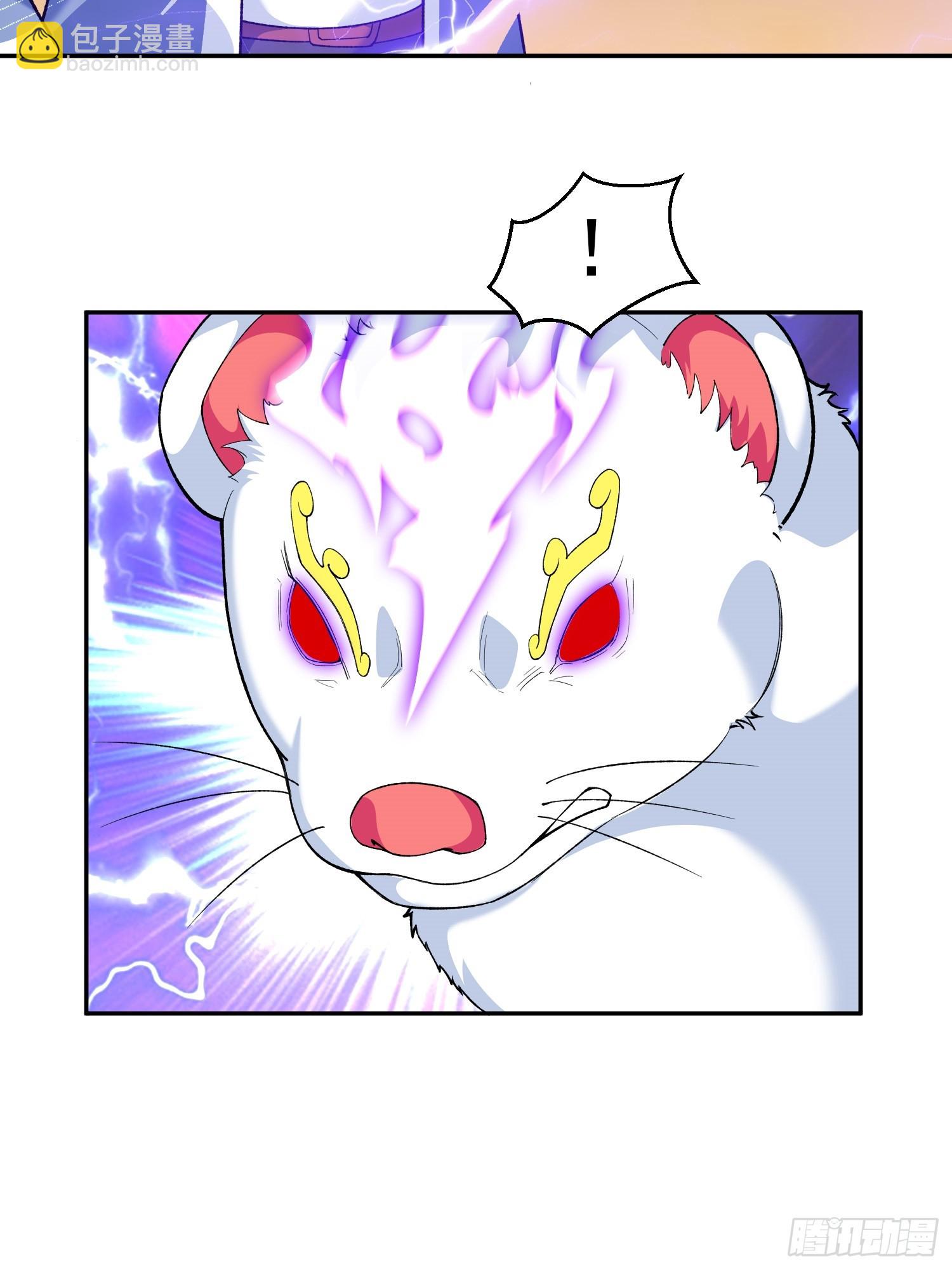 第10话 雷电貂？(1/2)-第12话