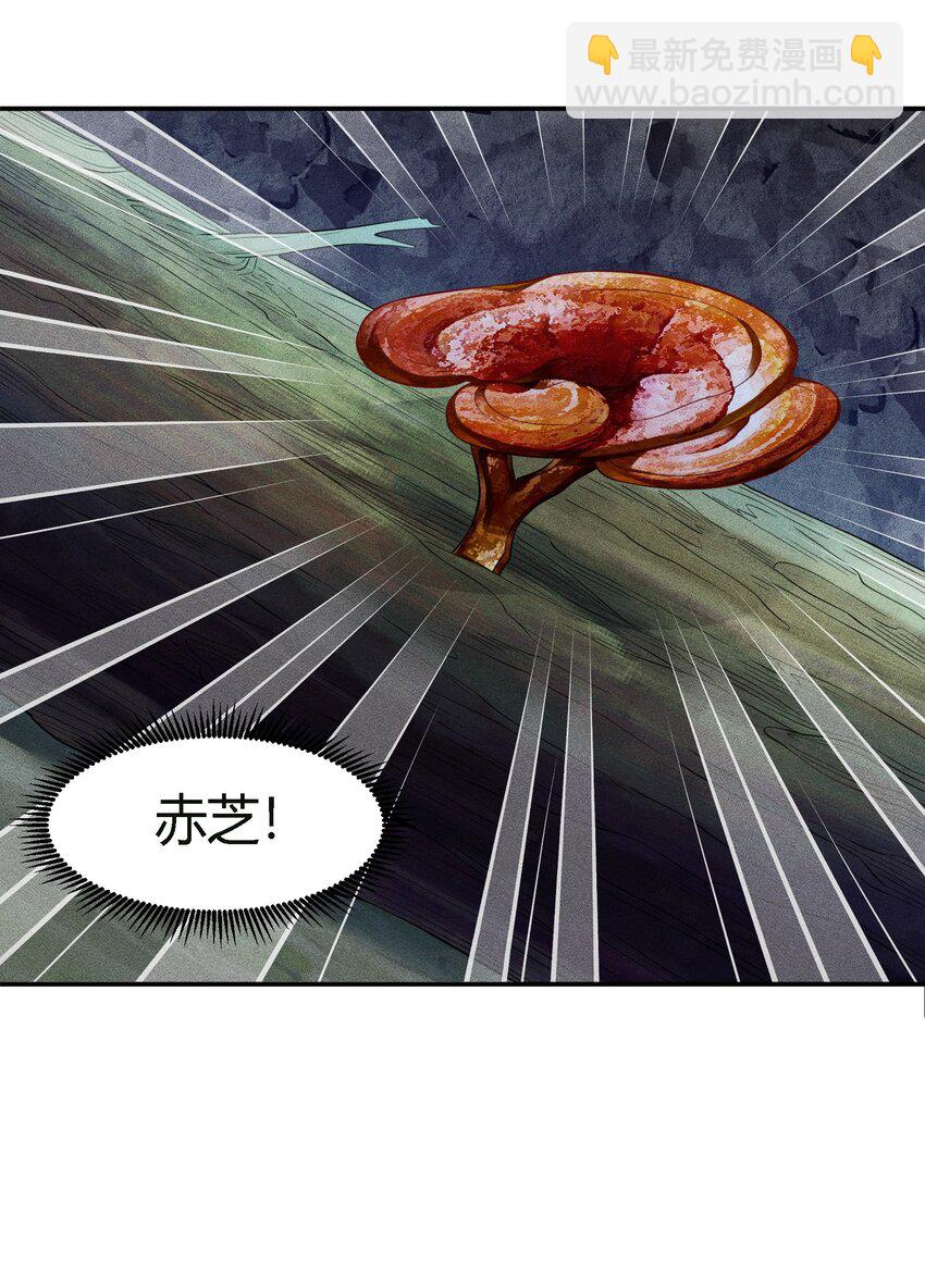 11 福兮祸所依-第12话