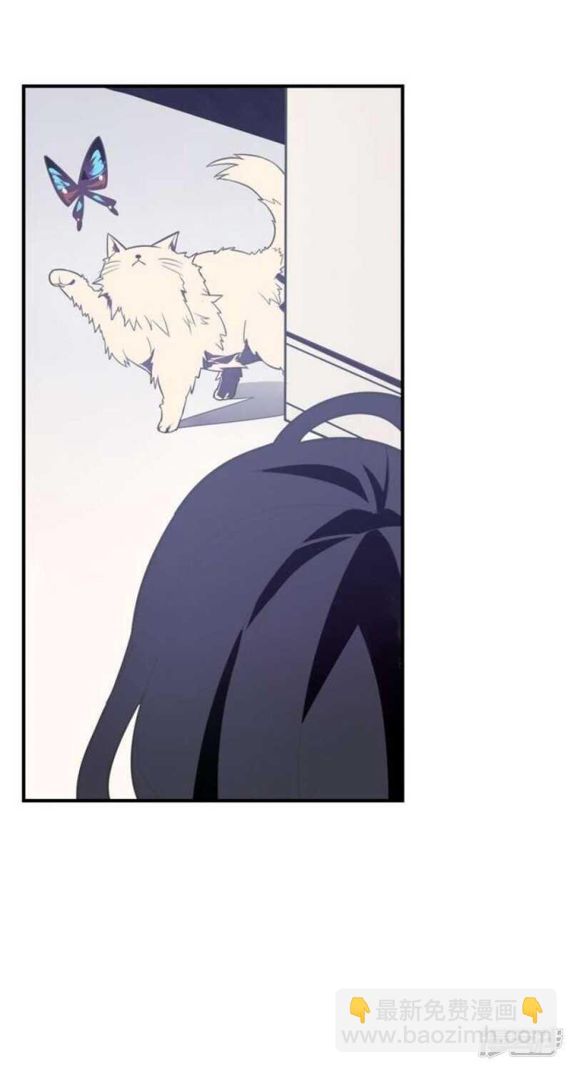 第36话 你蠢哭我了-第36话