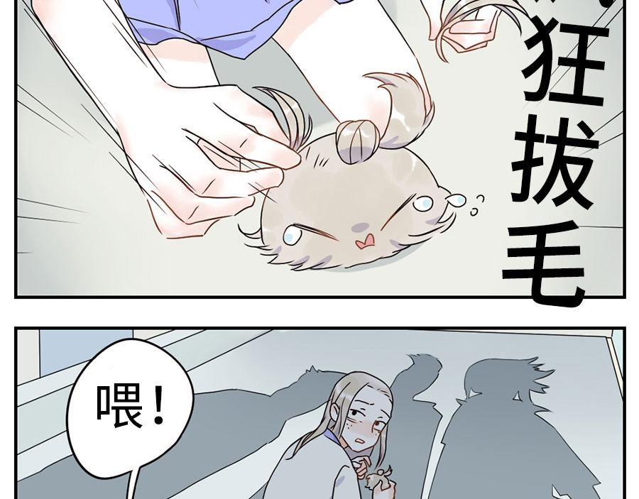 第35话 脱发妖（上）-第52话