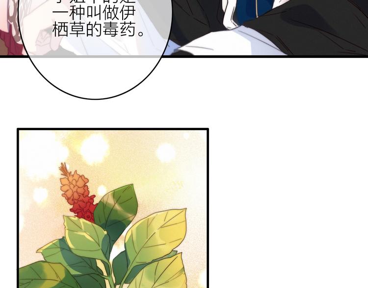 第27话  以身相许(1/3)-第30话