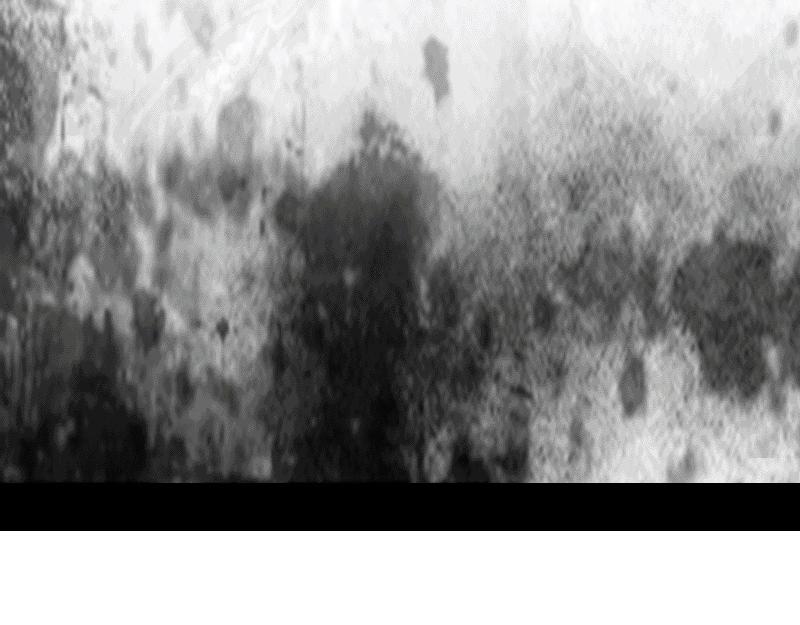 再生猿 - 第三章：有變大的有變小的(2/2) - 2