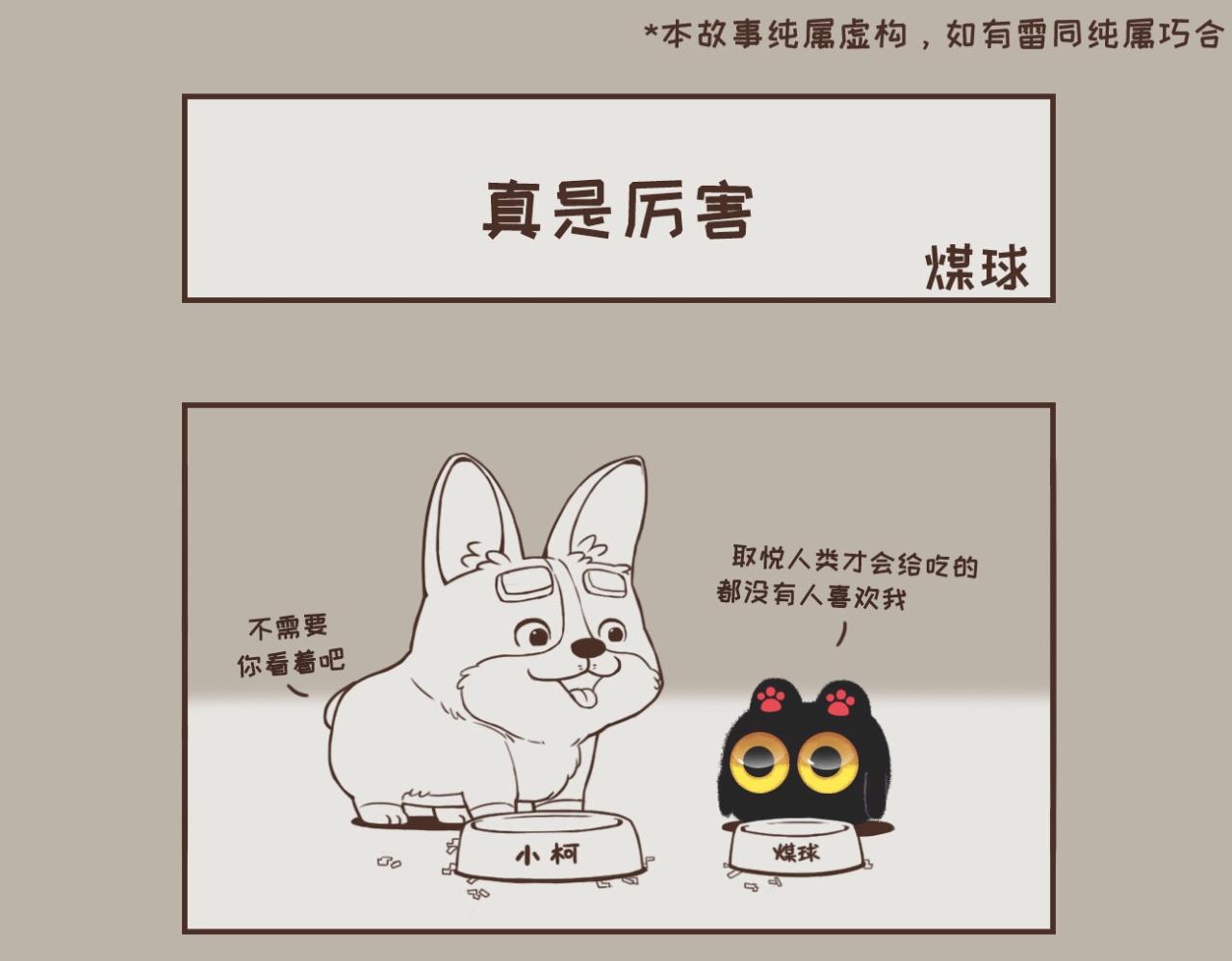 晚安，煤球-第2话