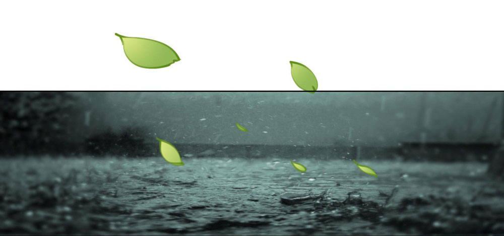 男人都是大猪蹄子(1/2)-第26话