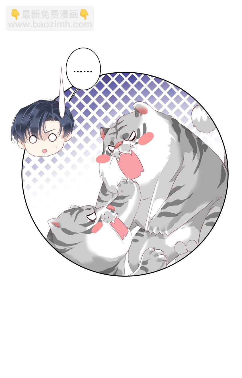 015 不服气那你打我啊？-第12话