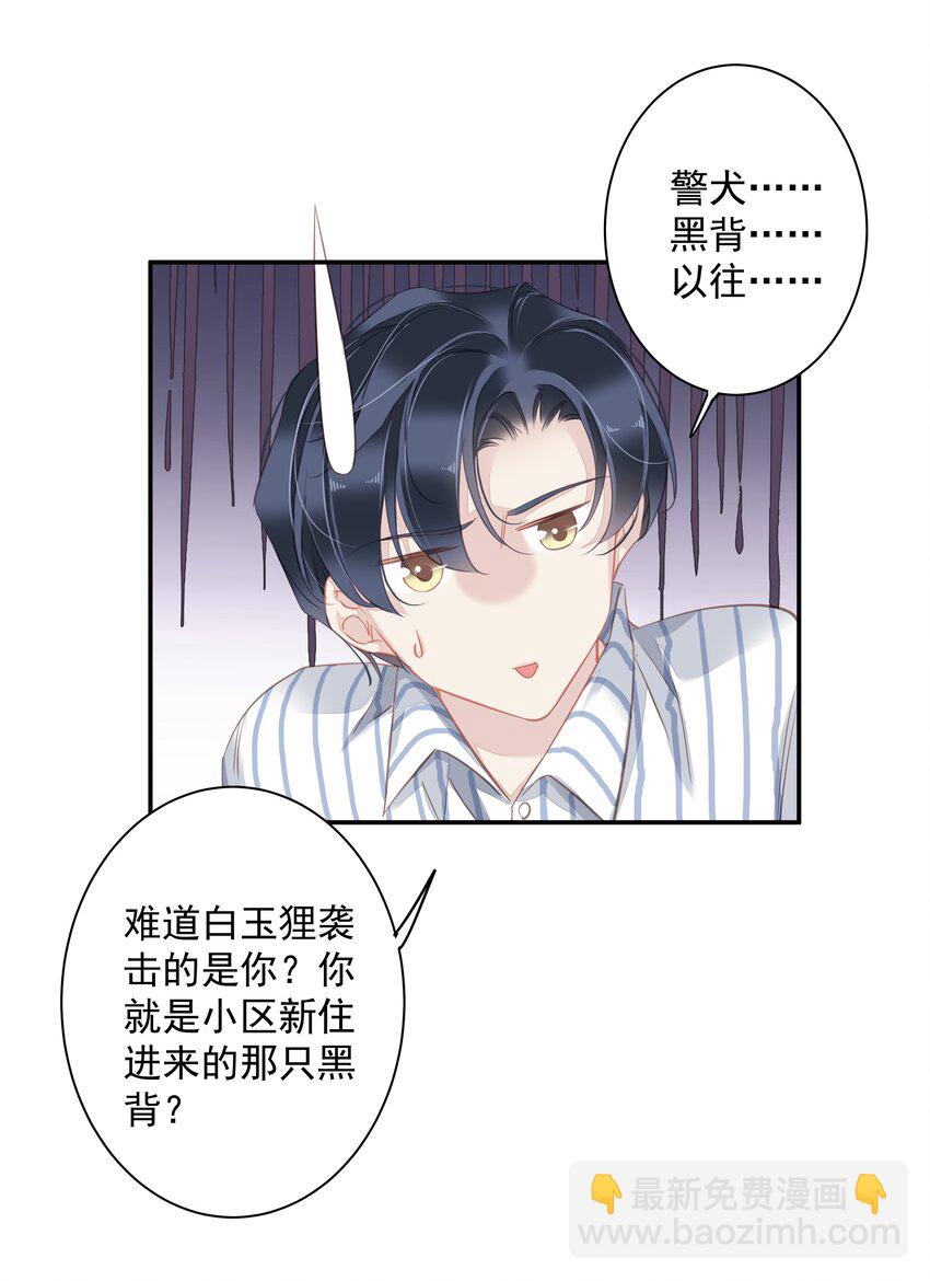 036 黑背出场！(1/2)-第34话