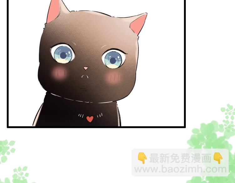 番外  做你的猫(1/3)-第60话