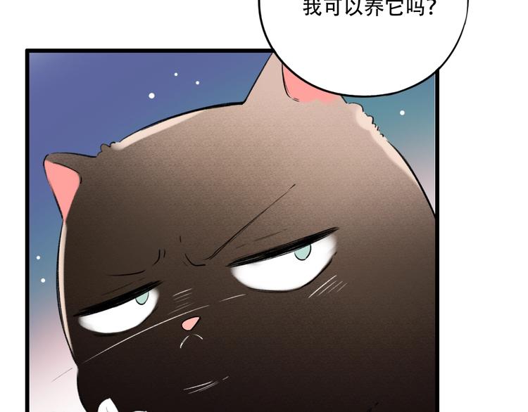 番外  做你的猫(1/3)-第60话