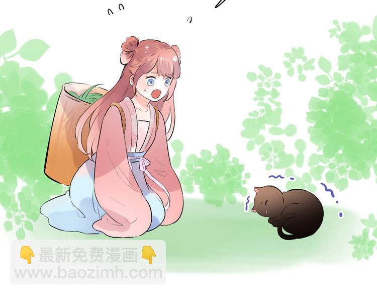 番外  做你的猫(1/3)-第60话