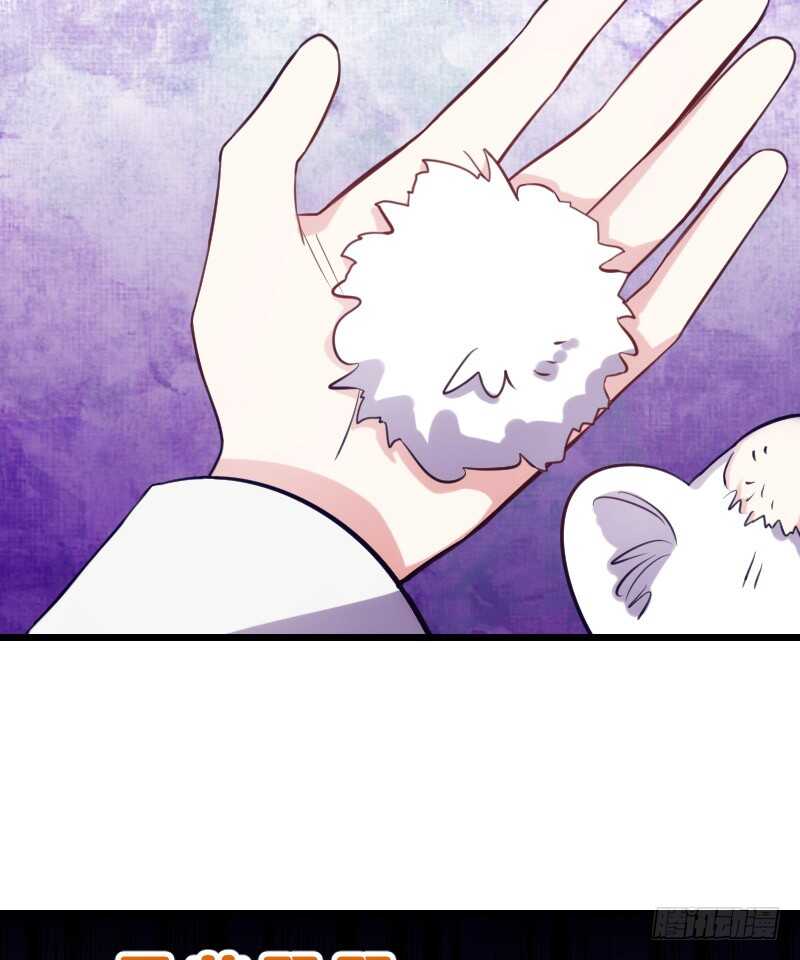 行车不规范，亲人两行泪-第86话