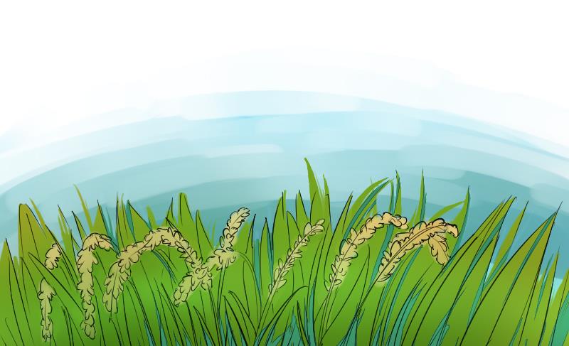 第二季 第1话 小乐&ldquo;回来&rdquo;了 上(1/2)-第82话