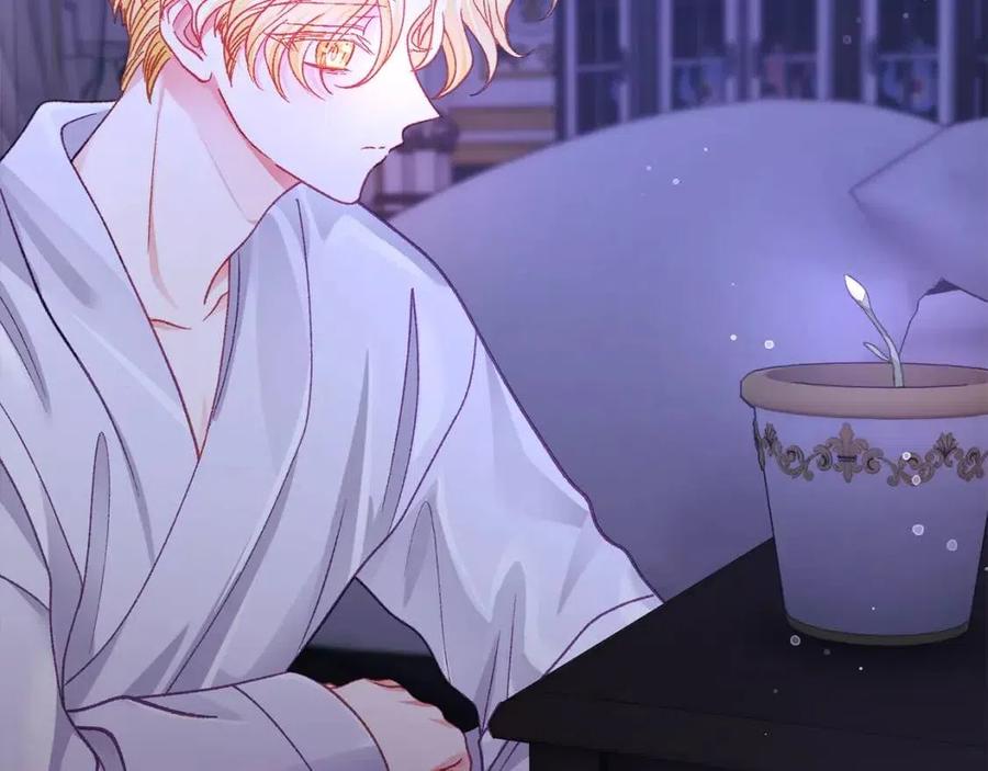 顫抖吧！原著女主 - 第105話 實現願望(3/4) - 2