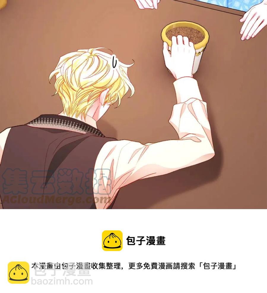 顫抖吧！原著女主 - 第105話 實現願望(1/4) - 1