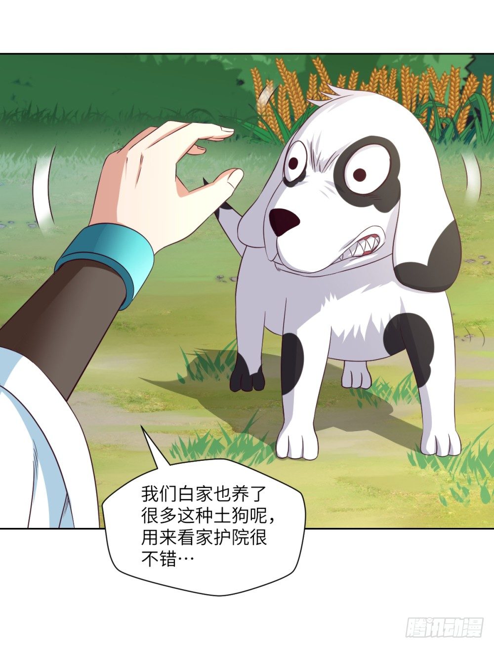 第21话 奔跑吧!白小龙-第22话