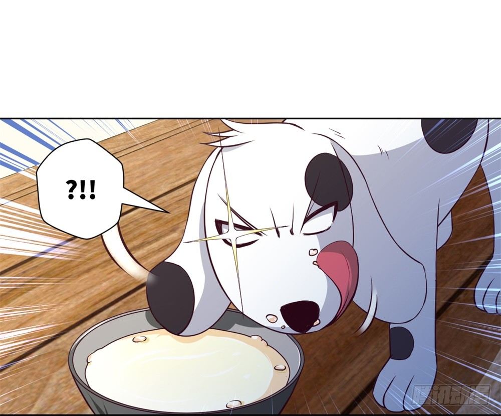 第9话 武圣不如狗-第10话