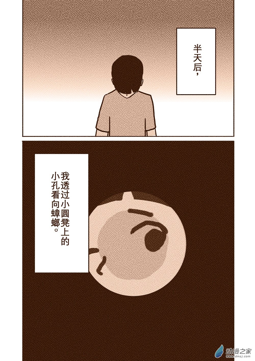 蟑螂 - 蟑螂 - 3