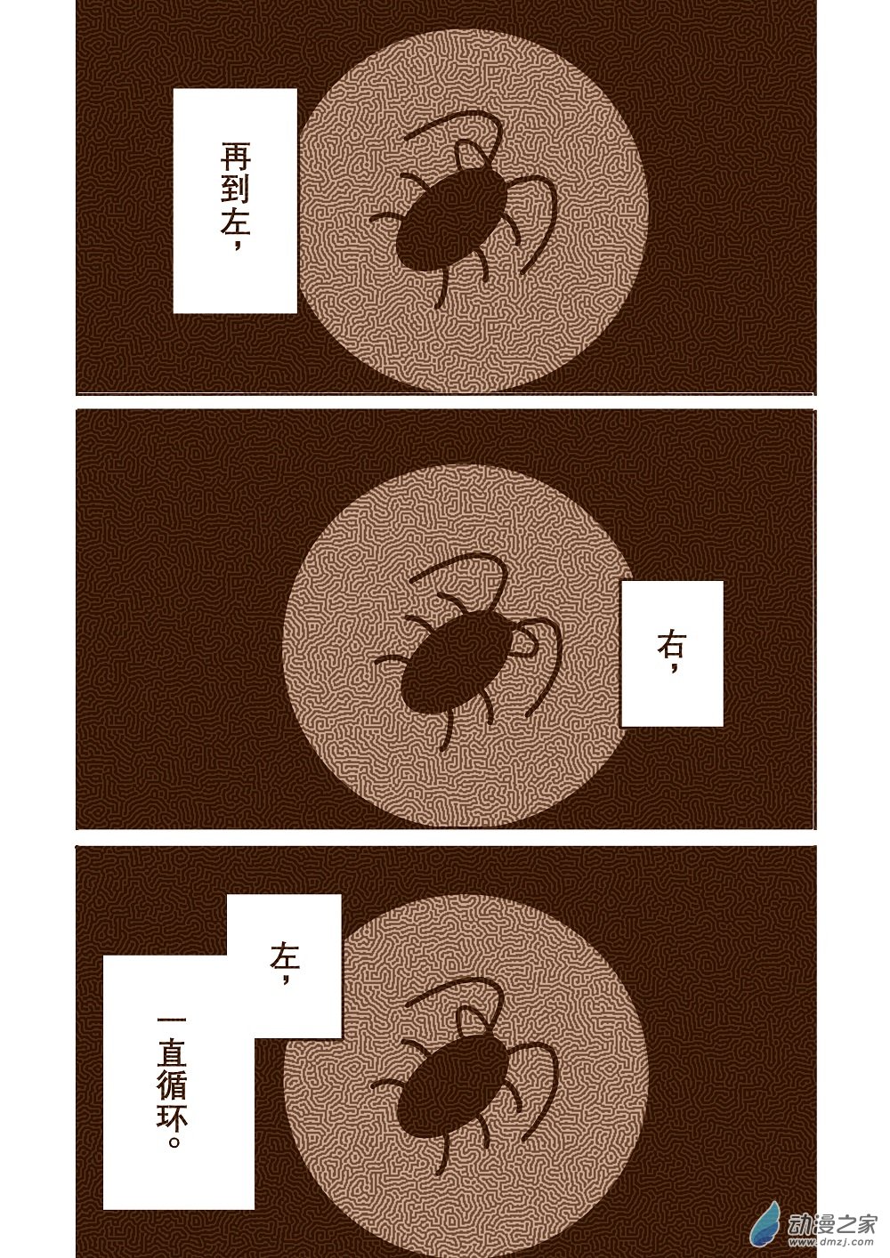 蟑螂 - 蟑螂 - 2