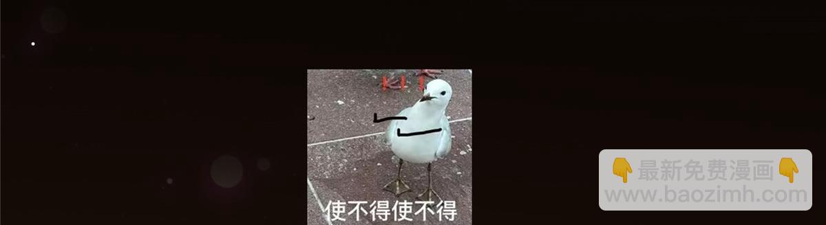 147.jpg